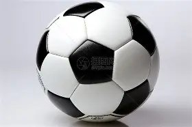 全球搜索排,美洲杯高居,榜首,博鱼体育官网,博鱼体育app,博鱼体育APP下载