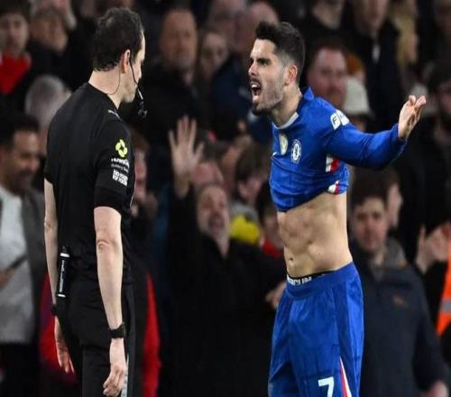 期大乐透期,号专家推荐,质合分析前,博鱼体育官网,博鱼体育app,博鱼体育APP下载